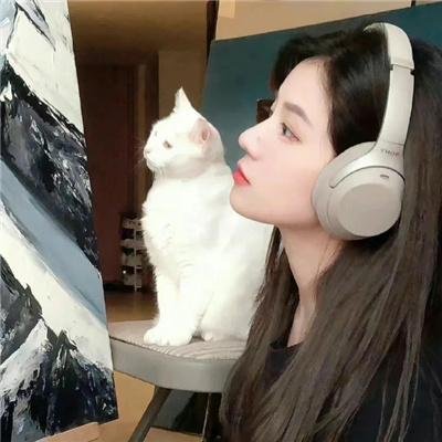 妙警贼探第四季